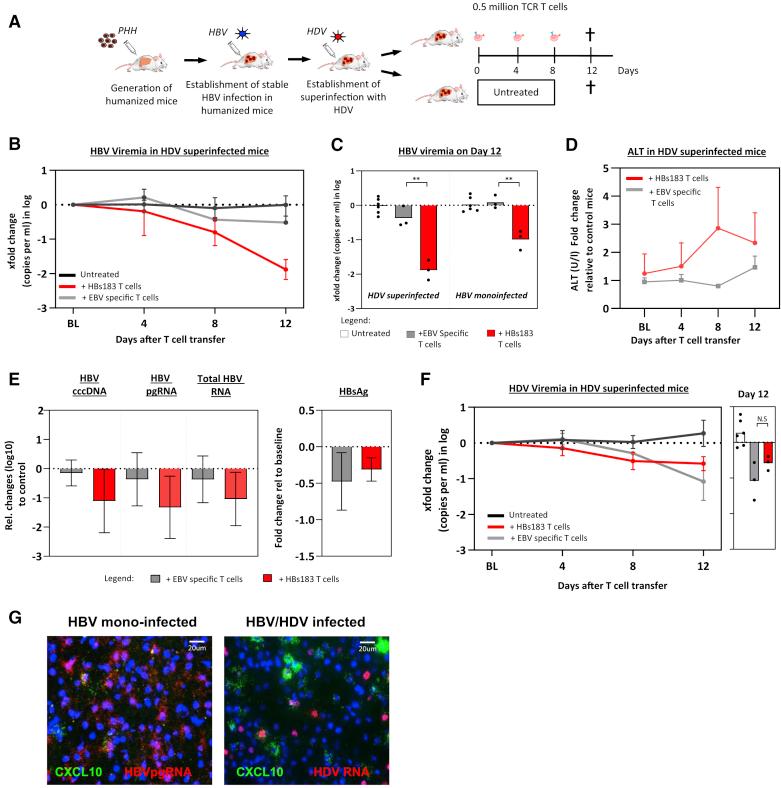 https://cdn.ncbi.nlm.nih.gov/pmc/blobs/d565/7659593/c07a2aaa4fca/gr6.jpg