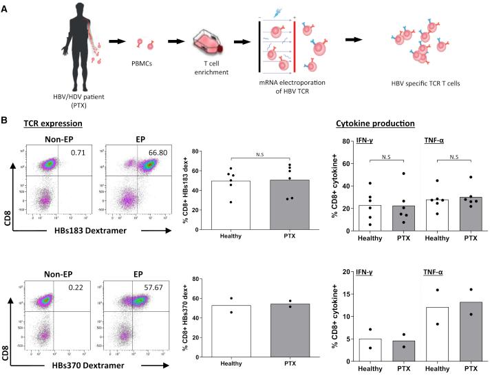 https://cdn.ncbi.nlm.nih.gov/pmc/blobs/d565/7659593/f4e8fbd06482/gr5.jpg