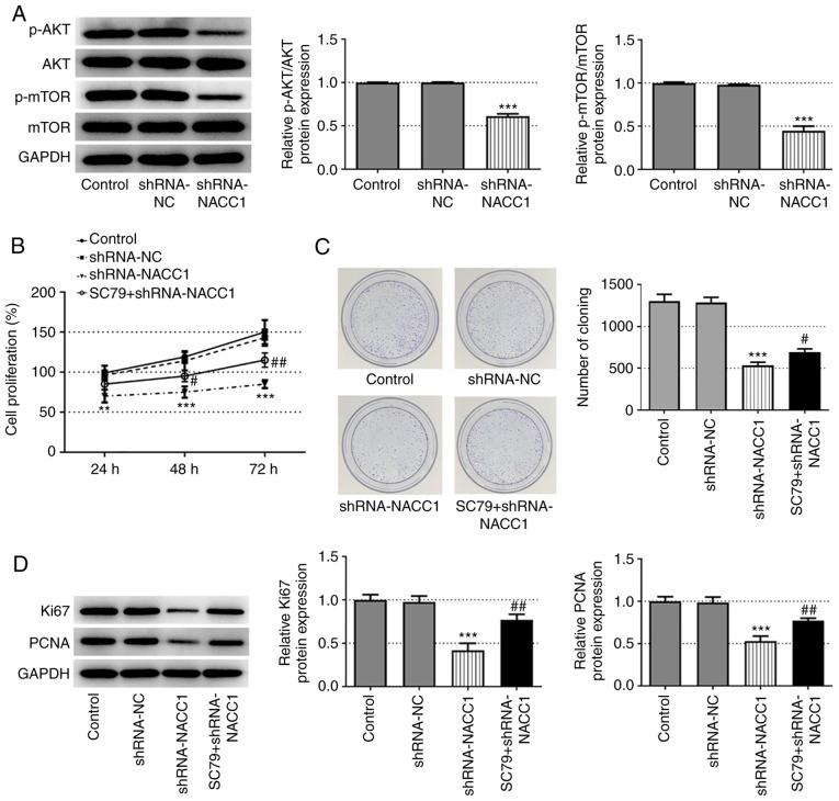 https://cdn.ncbi.nlm.nih.gov/pmc/blobs/d565/8527823/aa51f461b139/ol-22-06-13088-g02.jpg