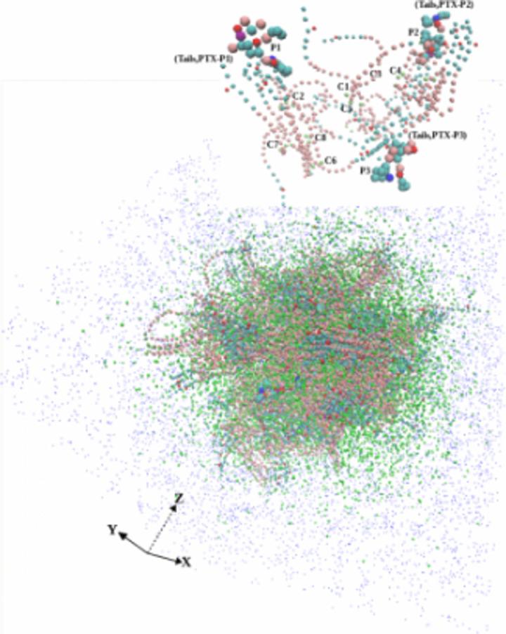 https://cdn.ncbi.nlm.nih.gov/pmc/blobs/d566/12068633/7dda37aa7a4e/pone.0313813.g007.jpg