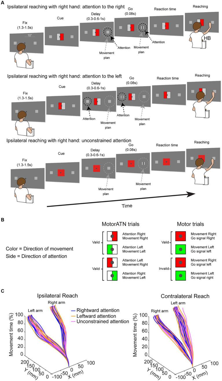https://cdn.ncbi.nlm.nih.gov/pmc/blobs/d567/11138159/574e3cf7e08b/fnint-18-1393690-g001.jpg