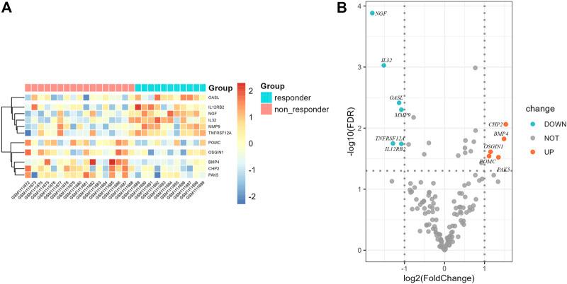 https://cdn.ncbi.nlm.nih.gov/pmc/blobs/d56a/9485730/1da05a52fd58/fgene-13-921902-g009.jpg