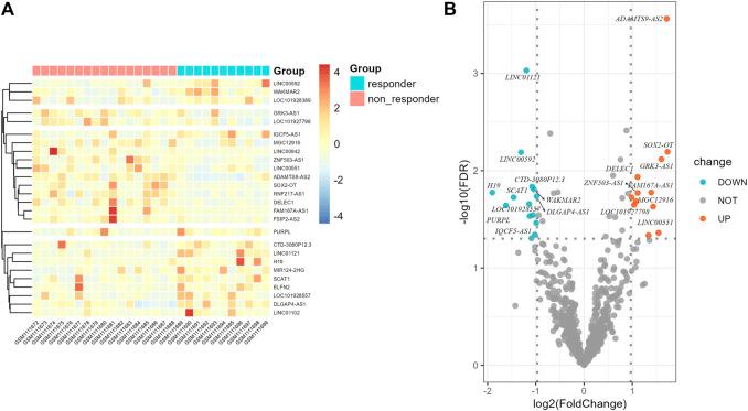 https://cdn.ncbi.nlm.nih.gov/pmc/blobs/d56a/9485730/504cf6c2dfb0/fgene-13-921902-g002.jpg