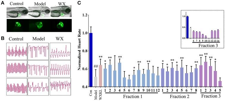 https://cdn.ncbi.nlm.nih.gov/pmc/blobs/d56b/6243390/fa8e7b0d6fee/fphar-09-01288-g0003.jpg
