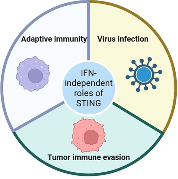 https://cdn.ncbi.nlm.nih.gov/pmc/blobs/d56c/12129981/9ca72747fe97/fimmu-16-1594133-g003.jpg