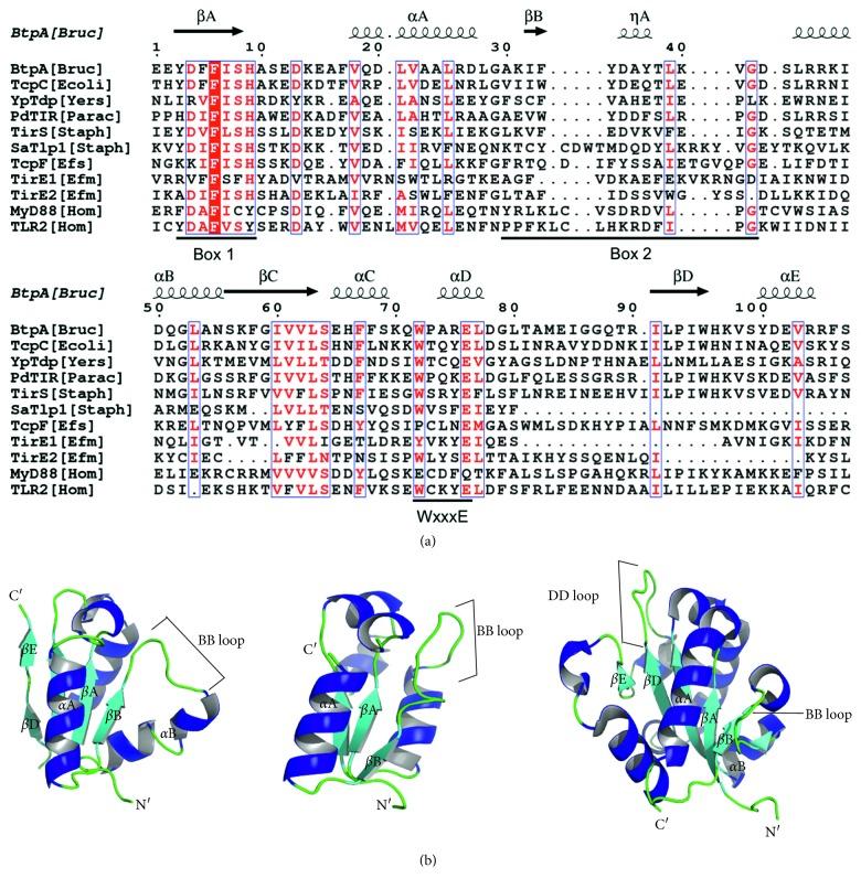 https://cdn.ncbi.nlm.nih.gov/pmc/blobs/d56c/6304867/b761ab25408e/IJMICRO2018-1435820.001.jpg