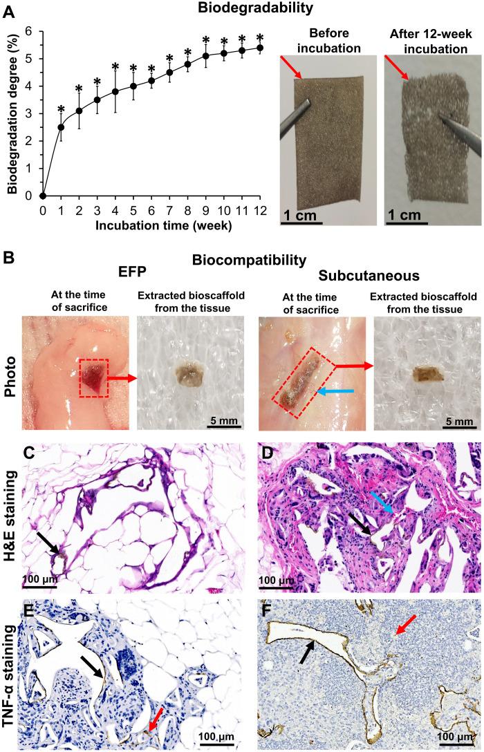 https://cdn.ncbi.nlm.nih.gov/pmc/blobs/d56d/8597999/1db45062ef93/sciadv.abf9221-f6.jpg