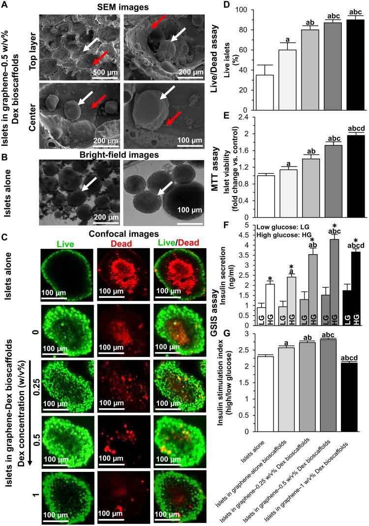 https://cdn.ncbi.nlm.nih.gov/pmc/blobs/d56d/8597999/caa054c32682/sciadv.abf9221-f3.jpg