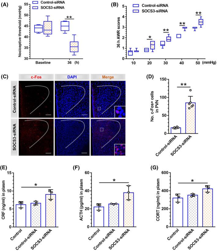 https://cdn.ncbi.nlm.nih.gov/pmc/blobs/d56d/9344090/52b4209fa1d8/CNS-28-1393-g008.jpg