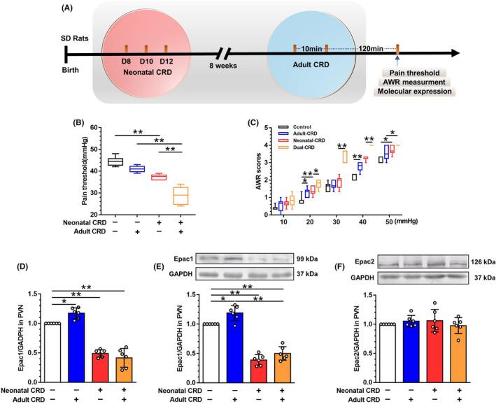 https://cdn.ncbi.nlm.nih.gov/pmc/blobs/d56d/9344090/8d77ffc2f894/CNS-28-1393-g009.jpg