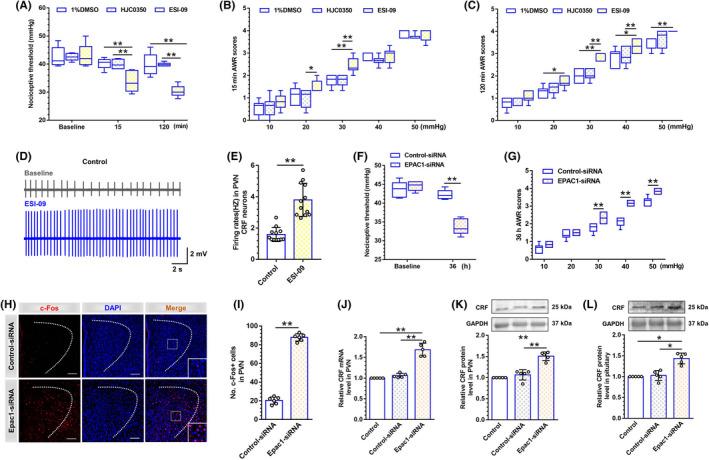https://cdn.ncbi.nlm.nih.gov/pmc/blobs/d56d/9344090/acef7719835e/CNS-28-1393-g006.jpg