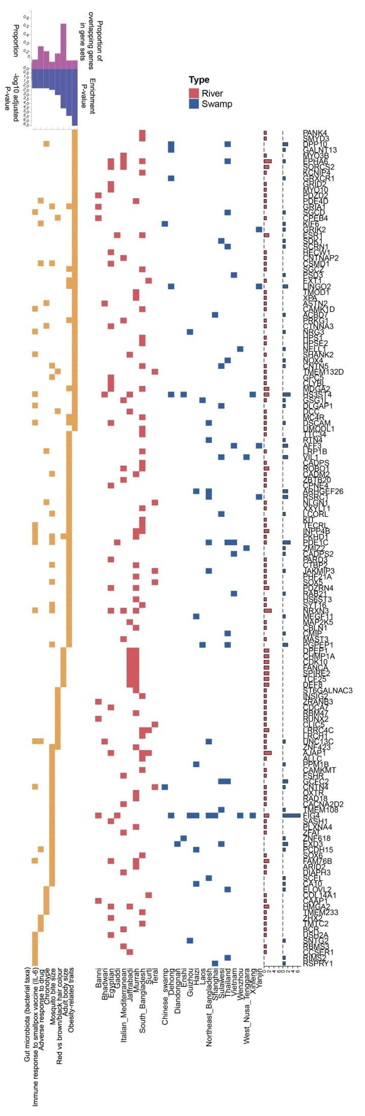 https://cdn.ncbi.nlm.nih.gov/pmc/blobs/d56e/12398277/80a4007b686c/giaf099fig4.jpg
