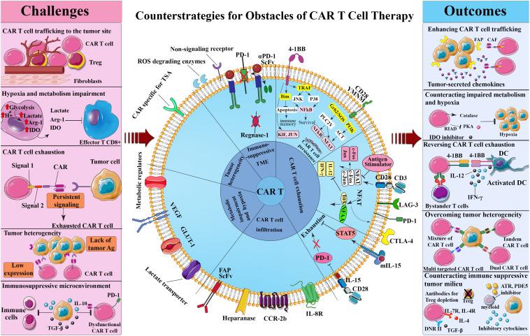 https://cdn.ncbi.nlm.nih.gov/pmc/blobs/d571/10067596/12c5becc31a5/fimmu-14-1113882-g001.jpg