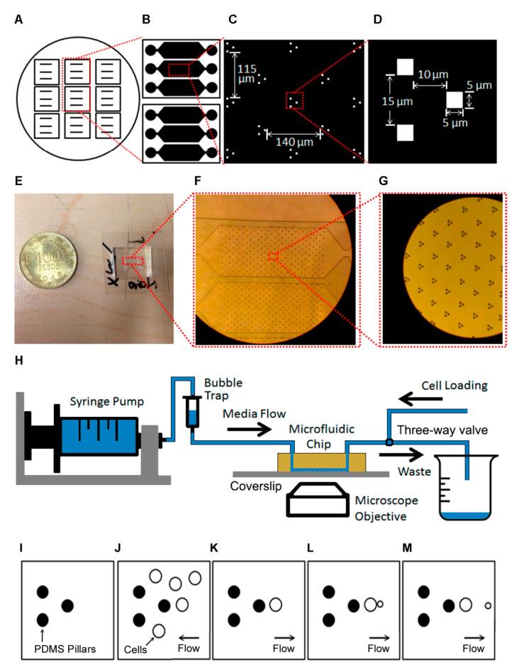 https://cdn.ncbi.nlm.nih.gov/pmc/blobs/d572/7822021/4583fbfc0a9b/micromachines-12-00004-g001.jpg