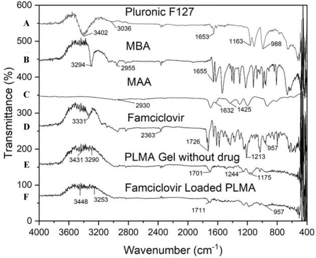 https://cdn.ncbi.nlm.nih.gov/pmc/blobs/d574/12119955/43ff6bf0dd88/41598_2025_96739_Fig7_HTML.jpg
