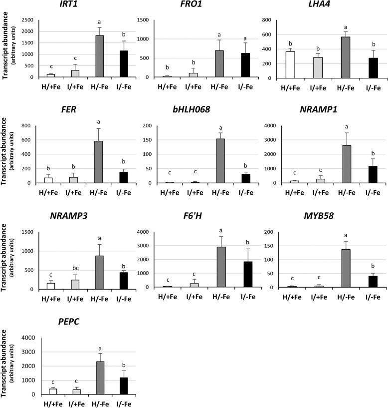https://cdn.ncbi.nlm.nih.gov/pmc/blobs/d575/6734453/e3a7751dd31a/12864_2019_6062_Fig8_HTML.jpg