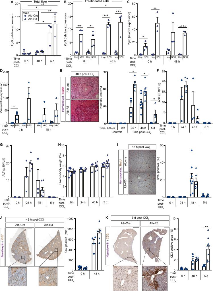 https://cdn.ncbi.nlm.nih.gov/pmc/blobs/d575/8497853/40a436b3990f/gr3.jpg