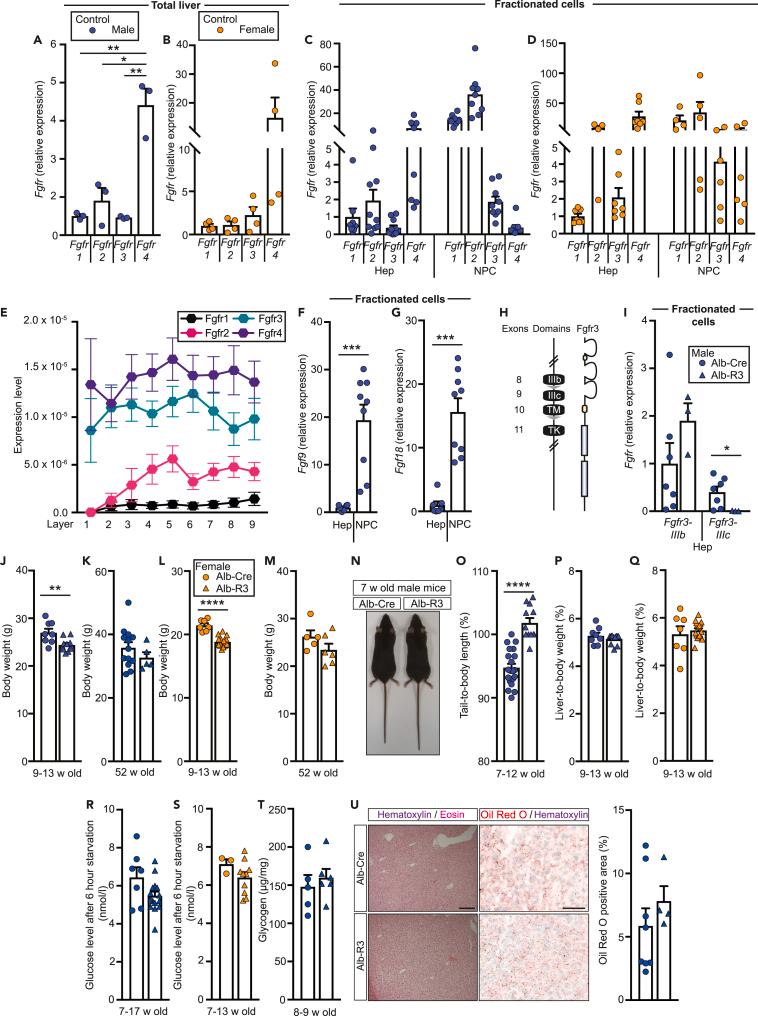 https://cdn.ncbi.nlm.nih.gov/pmc/blobs/d575/8497853/54d8c6c41535/gr1.jpg
