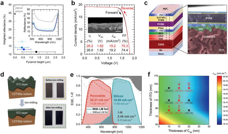 https://cdn.ncbi.nlm.nih.gov/pmc/blobs/d577/10199996/f838767a6cab/40580_2023_374_Fig6_HTML.jpg