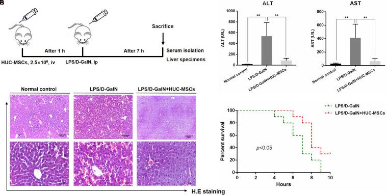 https://cdn.ncbi.nlm.nih.gov/pmc/blobs/d578/11224903/ec26dace045f/JCTH-12-571-g001.jpg