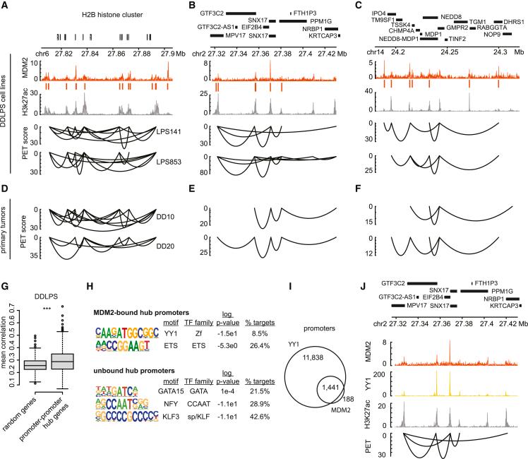 https://cdn.ncbi.nlm.nih.gov/pmc/blobs/d579/10363746/b6eb3d67738b/gr4.jpg
