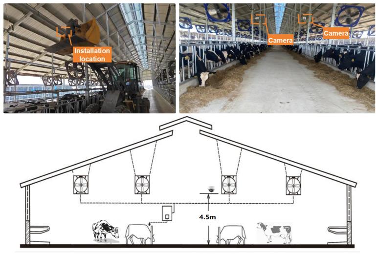 https://cdn.ncbi.nlm.nih.gov/pmc/blobs/d57a/11505530/35aaeaa9e50c/animals-14-03033-g001.jpg