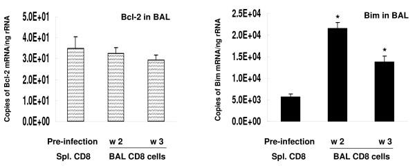 https://cdn.ncbi.nlm.nih.gov/pmc/blobs/d57b/2714500/7a5ed82ab290/1465-9921-10-57-7.jpg
