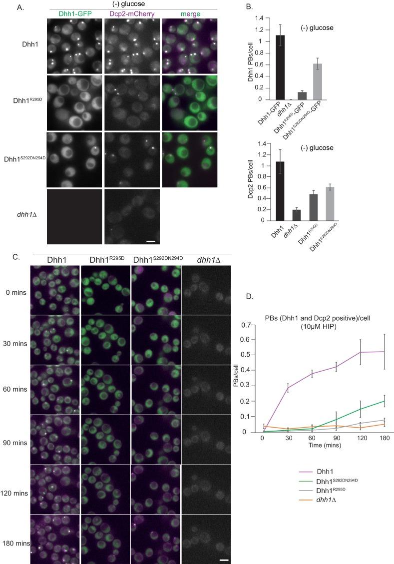 https://cdn.ncbi.nlm.nih.gov/pmc/blobs/d57b/6366900/d315b863b401/elife-41415-fig3.jpg