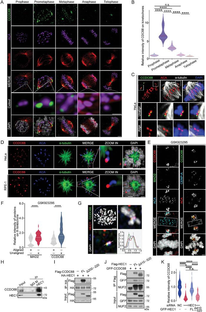 https://cdn.ncbi.nlm.nih.gov/pmc/blobs/d57c/11425217/ad357f063520/ADVS-11-2406009-g006.jpg