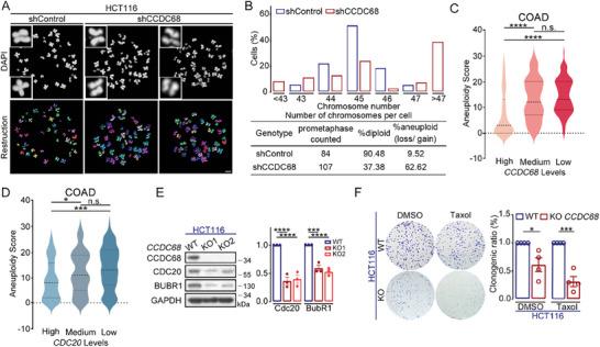 https://cdn.ncbi.nlm.nih.gov/pmc/blobs/d57c/11425217/c0abb107ab31/ADVS-11-2406009-g002.jpg