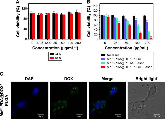 https://cdn.ncbi.nlm.nih.gov/pmc/blobs/d57c/5411169/1619acb483e9/ijn-12-3331Fig4.jpg
