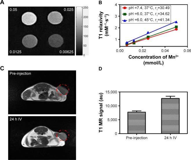 https://cdn.ncbi.nlm.nih.gov/pmc/blobs/d57c/5411169/e4912bec0431/ijn-12-3331Fig2.jpg