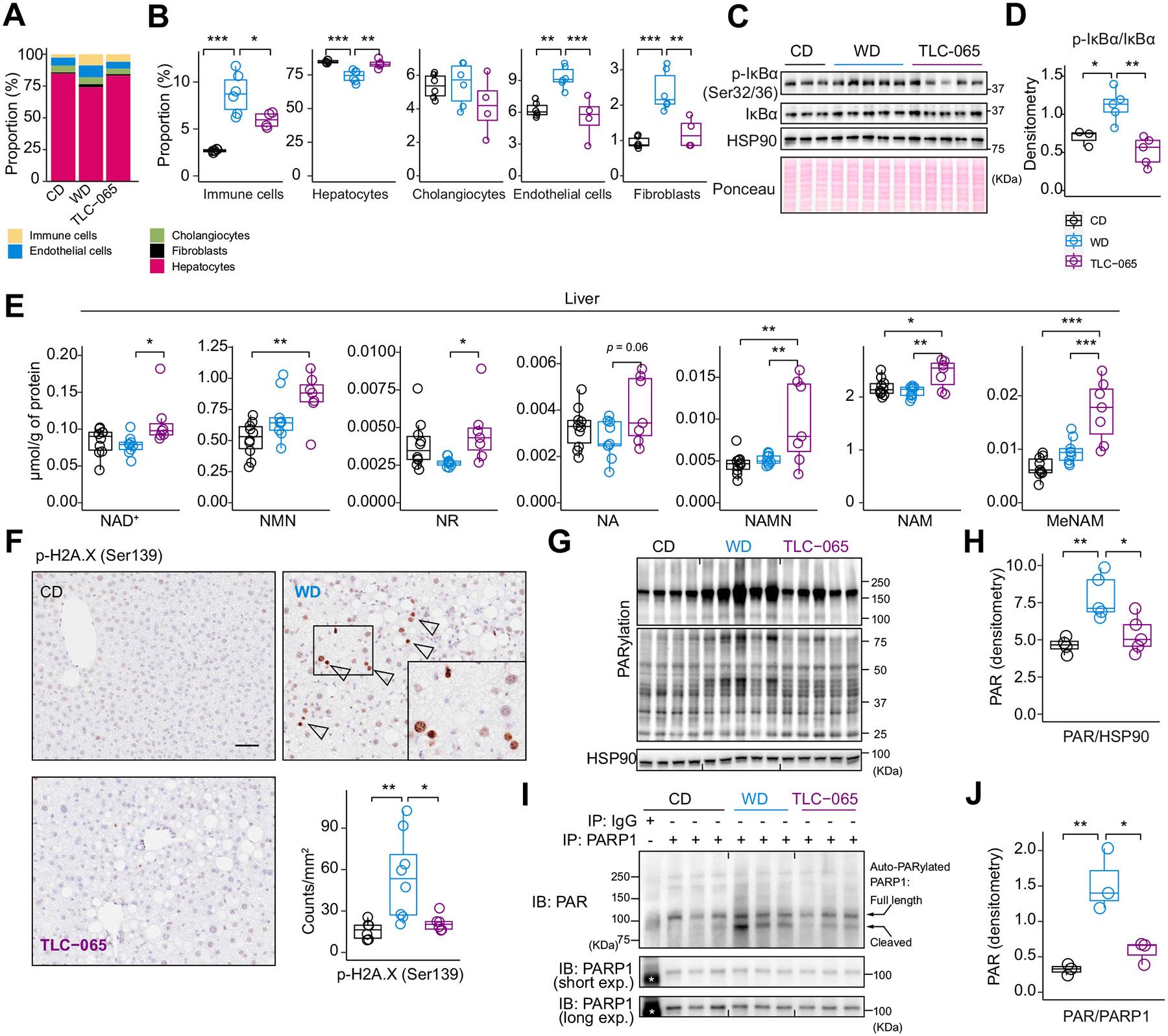 https://cdn.ncbi.nlm.nih.gov/pmc/blobs/d580/11741923/07a63609d79a/nihms-2033184-f0007.jpg