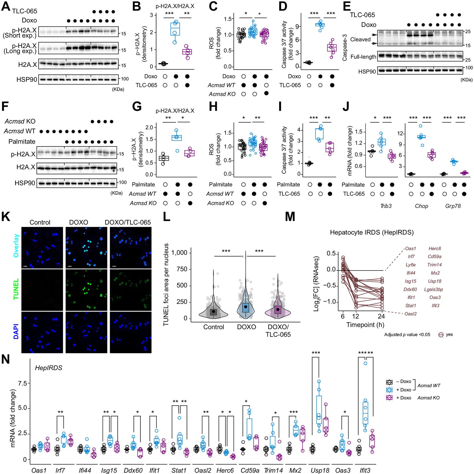 https://cdn.ncbi.nlm.nih.gov/pmc/blobs/d580/11741923/1e26d97747da/nihms-2033184-f0004.jpg