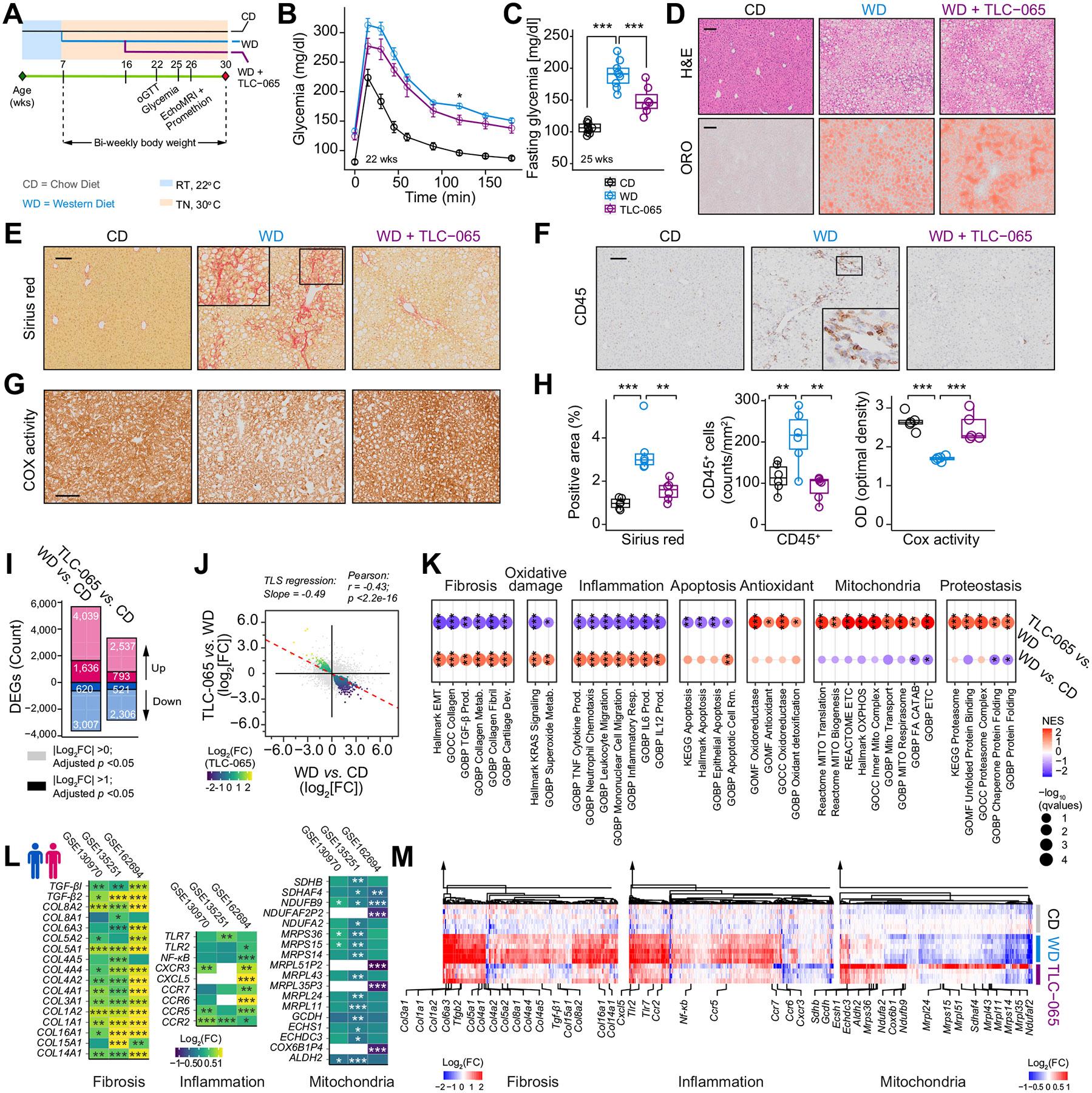 https://cdn.ncbi.nlm.nih.gov/pmc/blobs/d580/11741923/5945ade6603e/nihms-2033184-f0006.jpg
