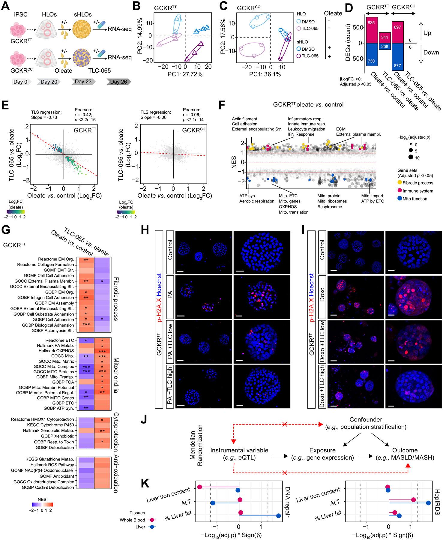 https://cdn.ncbi.nlm.nih.gov/pmc/blobs/d580/11741923/765ad7ca2e17/nihms-2033184-f0008.jpg