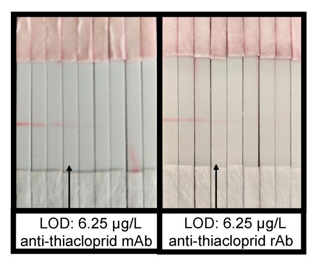 https://cdn.ncbi.nlm.nih.gov/pmc/blobs/d581/7555632/c71c790e54c4/ijms-21-06857-g005.jpg