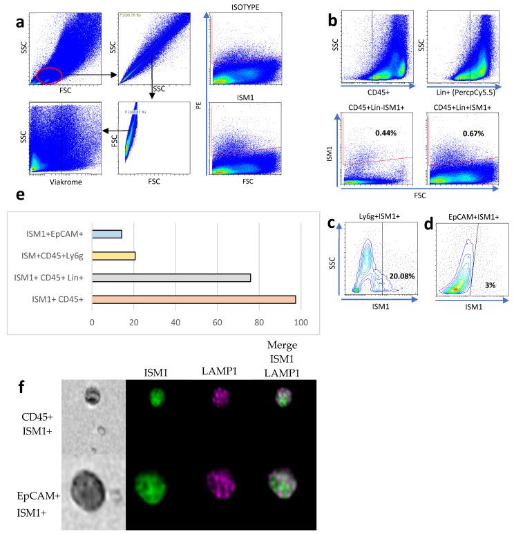 https://cdn.ncbi.nlm.nih.gov/pmc/blobs/d582/12195075/796021b89bcf/microorganisms-13-01280-g001.jpg