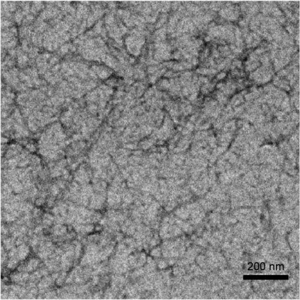 https://cdn.ncbi.nlm.nih.gov/pmc/blobs/d582/4833366/39e8381d2016/dddt-10-1379Fig3.jpg
