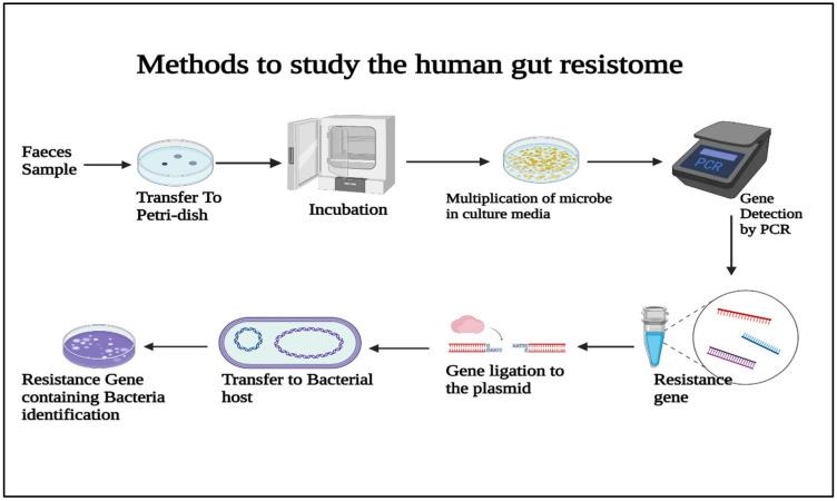 https://cdn.ncbi.nlm.nih.gov/pmc/blobs/d582/9137991/b3acd61e1751/antibiotics-11-00667-g002.jpg
