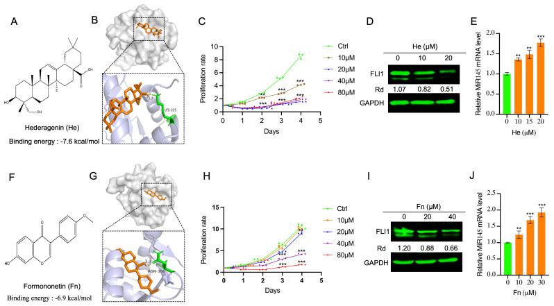 https://cdn.ncbi.nlm.nih.gov/pmc/blobs/d583/11676164/1cf5e4646033/ijms-25-13426-g006.jpg