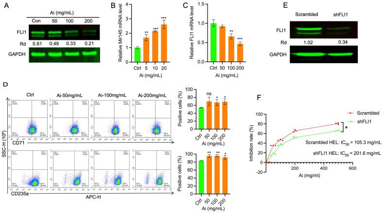 https://cdn.ncbi.nlm.nih.gov/pmc/blobs/d583/11676164/345a9e85fdb2/ijms-25-13426-g002.jpg
