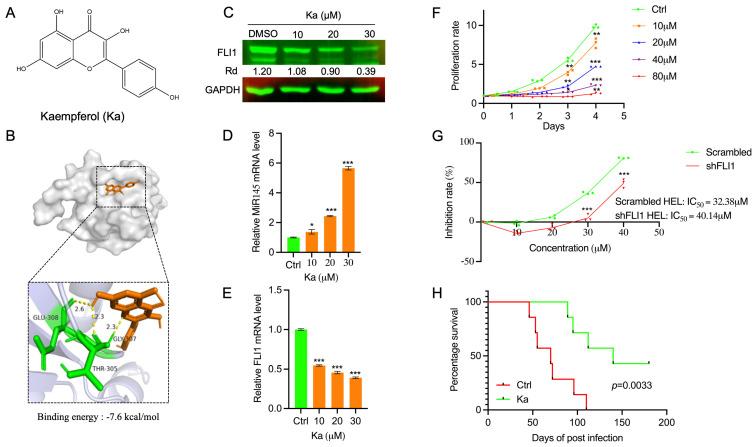https://cdn.ncbi.nlm.nih.gov/pmc/blobs/d583/11676164/7fbe36a9a3c2/ijms-25-13426-g005.jpg