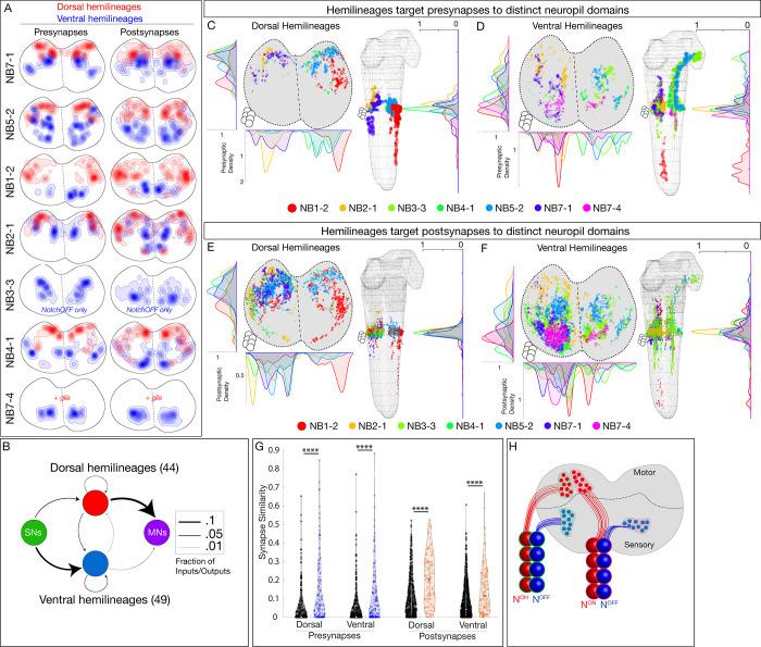 https://cdn.ncbi.nlm.nih.gov/pmc/blobs/d583/8139831/4b7cc6c3df46/elife-67510-fig4.jpg