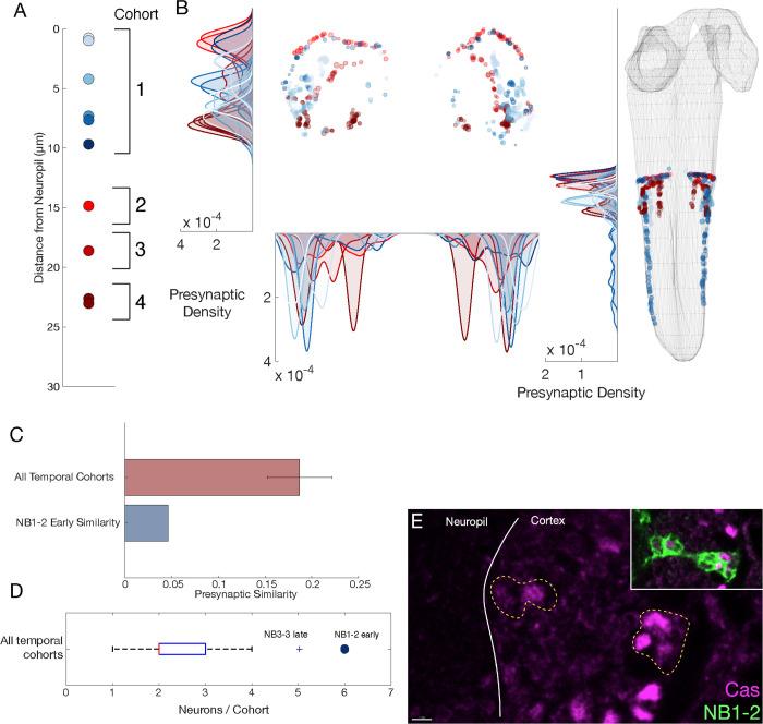 https://cdn.ncbi.nlm.nih.gov/pmc/blobs/d583/8139831/89d4adc4eb15/elife-67510-fig5-figsupp2.jpg