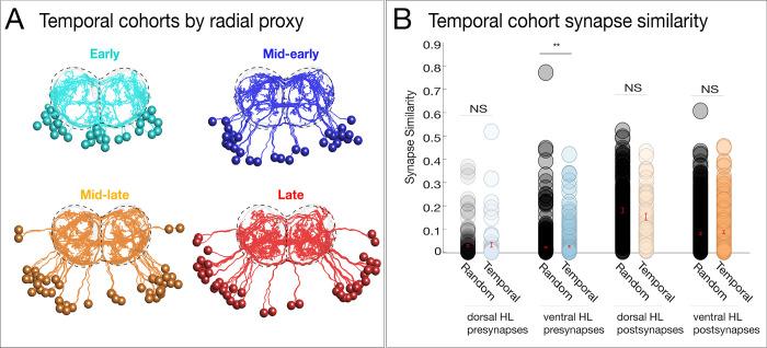 https://cdn.ncbi.nlm.nih.gov/pmc/blobs/d583/8139831/95d643c7e66e/elife-67510-fig5-figsupp3.jpg