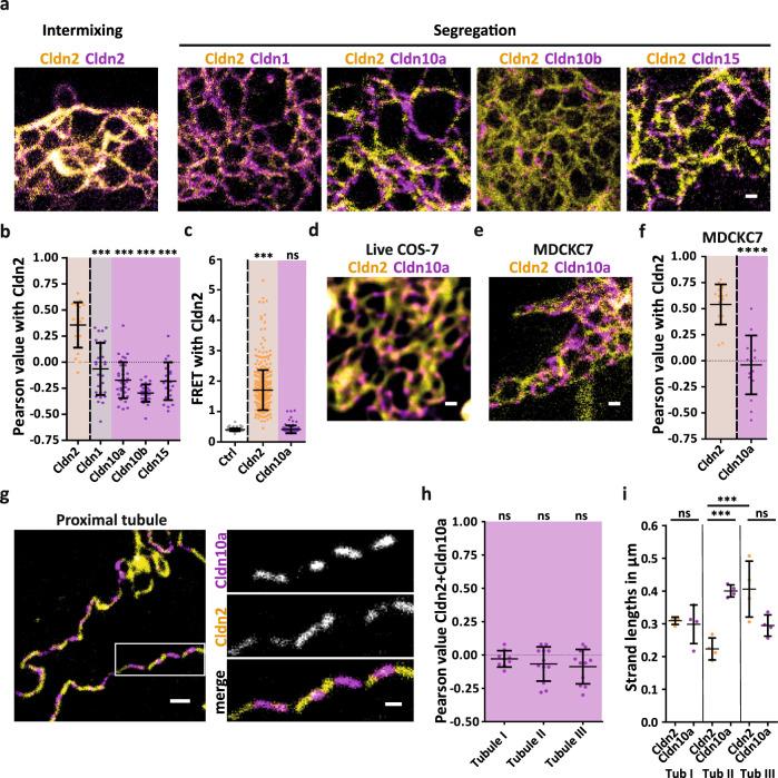 https://cdn.ncbi.nlm.nih.gov/pmc/blobs/d583/9411157/06d7c6e8a3ec/41467_2022_32533_Fig4_HTML.jpg