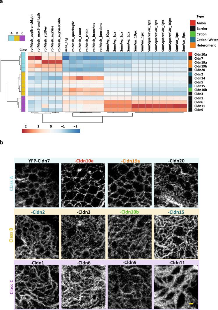 https://cdn.ncbi.nlm.nih.gov/pmc/blobs/d583/9411157/310315a2880e/41467_2022_32533_Fig2_HTML.jpg