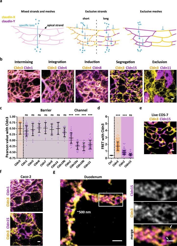 https://cdn.ncbi.nlm.nih.gov/pmc/blobs/d583/9411157/4e15447a4122/41467_2022_32533_Fig3_HTML.jpg