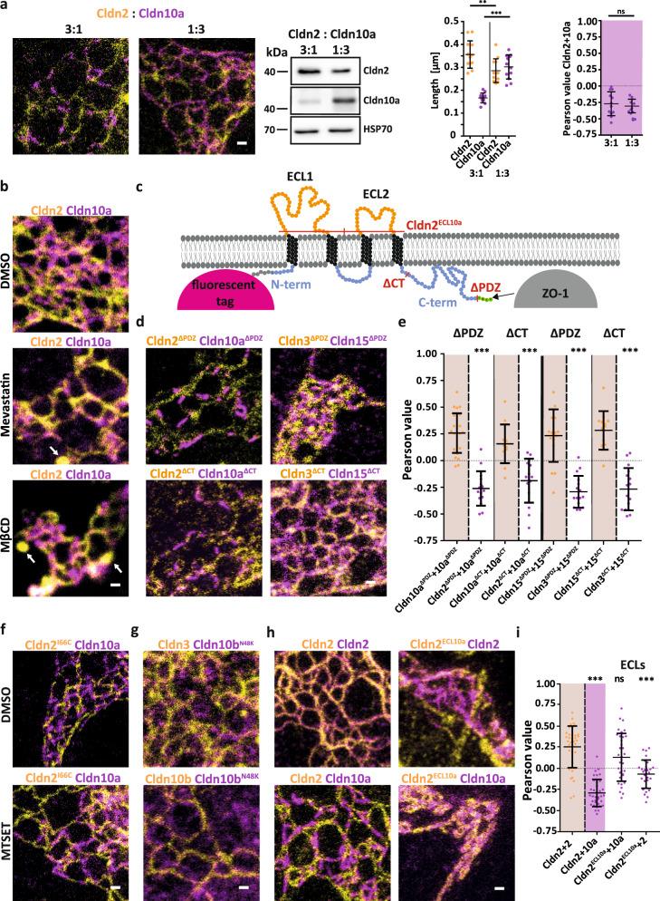 https://cdn.ncbi.nlm.nih.gov/pmc/blobs/d583/9411157/4f153aadac73/41467_2022_32533_Fig5_HTML.jpg